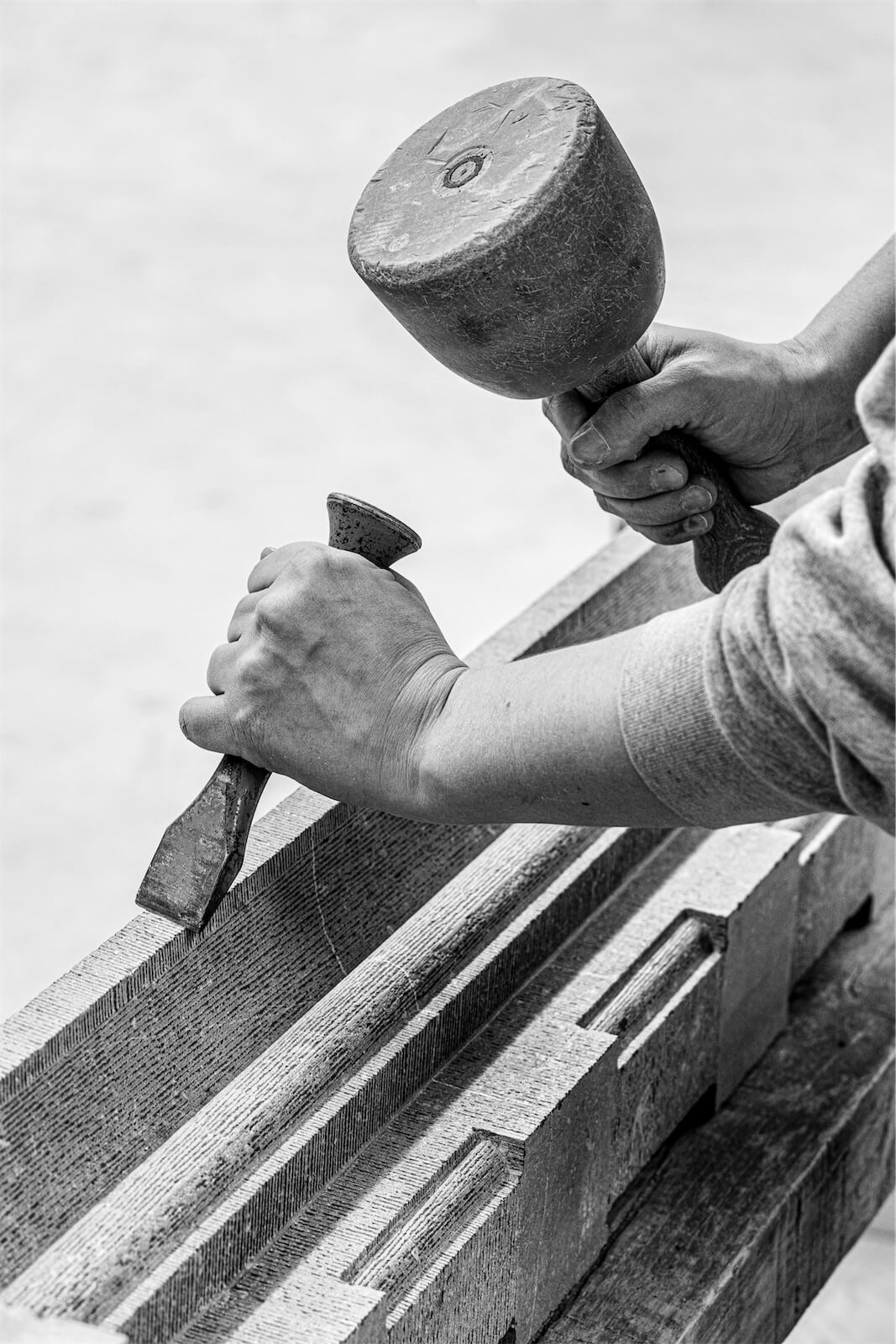 taille_copyright Serge Anton.jpg